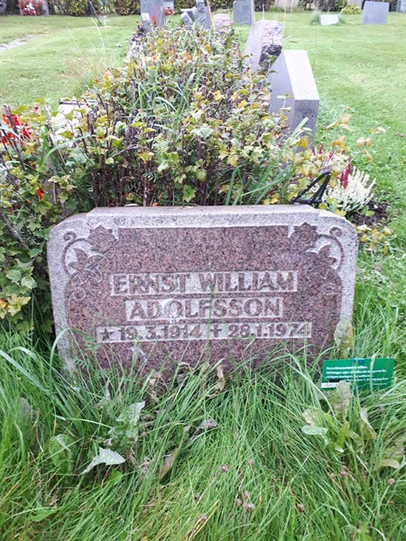 Gravnummer: NK F B   982