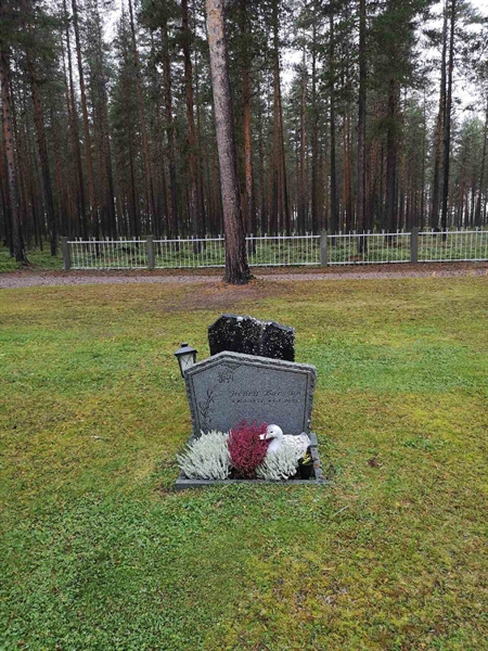 Hautatunnus: VLM 13    94-95