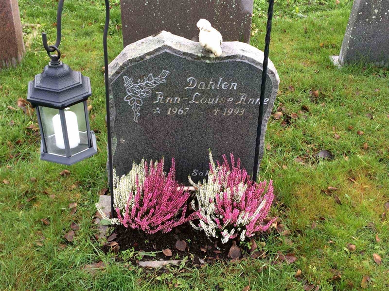 Grave number: 3 1741