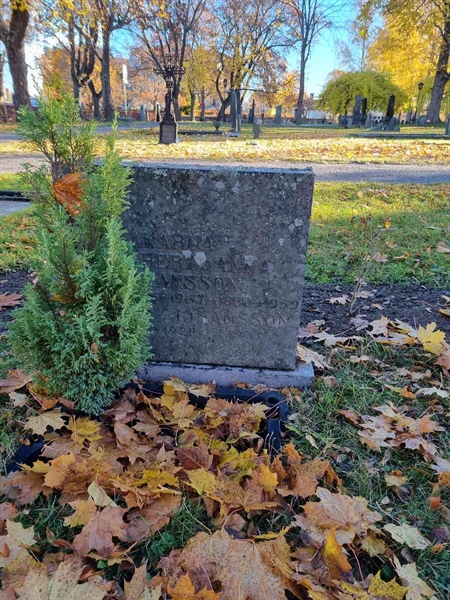 Grave number: 1 15   98