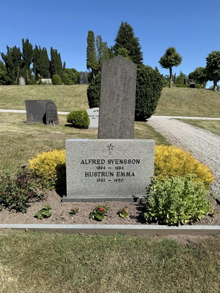 Hautatunnus: TR 3 2    36