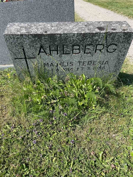 Gravnummer: N 5 1    63