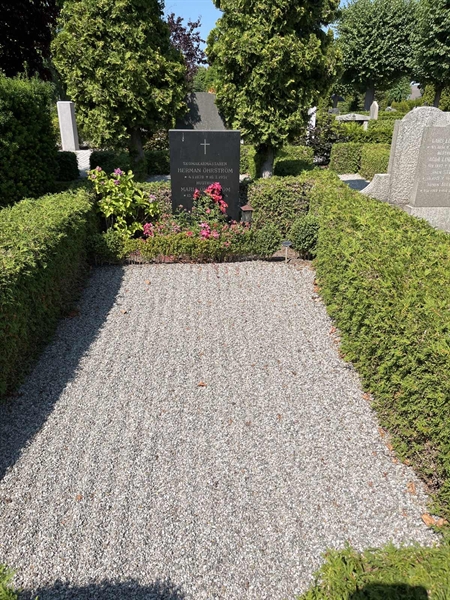 Grave number: NK VI   113