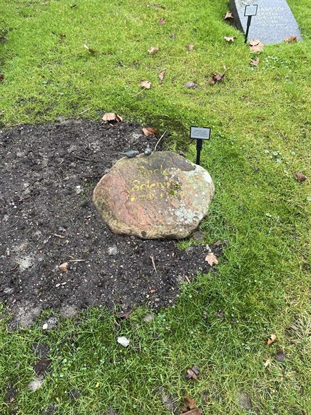 Gravnummer: 3 3    66