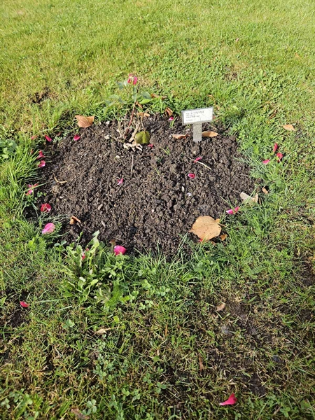 Grave number: Fr 5   722-723