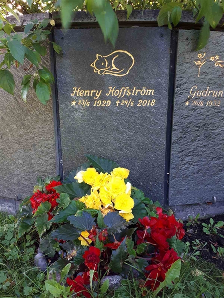 Hautatunnus: GK U 4   373