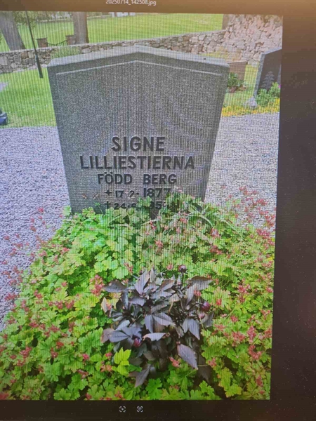 Gravnummer: EkGa A   196