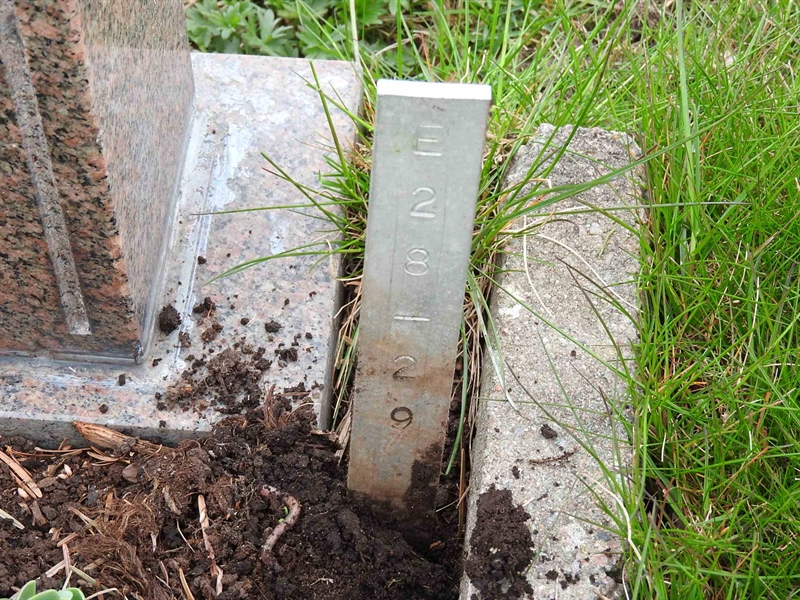 Gravnummer: BK E    28-29