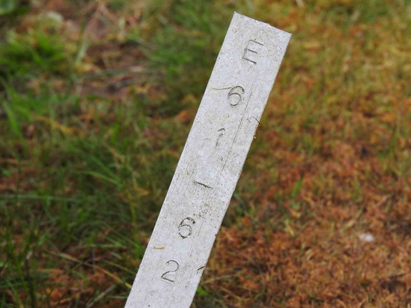 Gravnummer: BK E    61-62