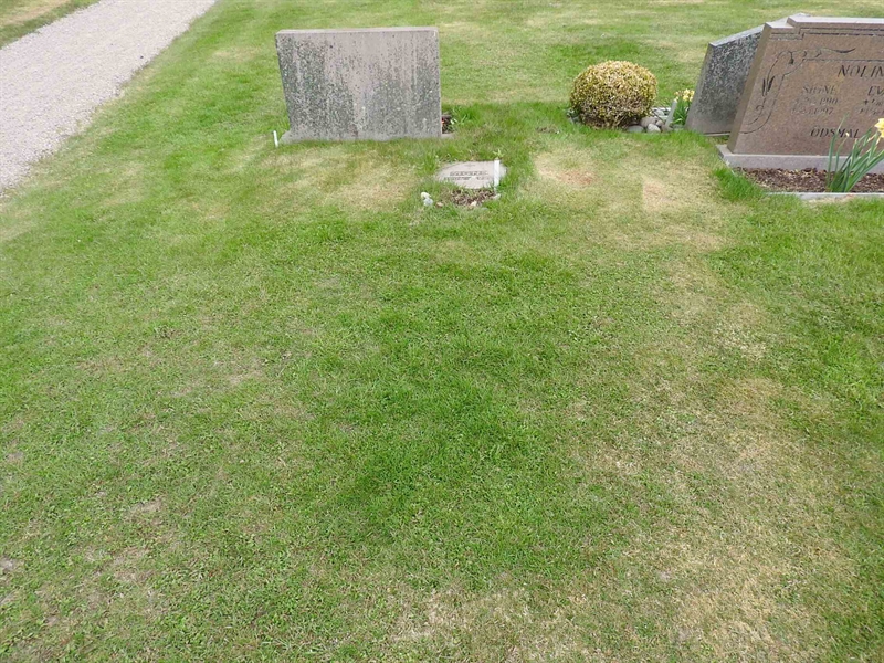 Gravnummer: BK E    81