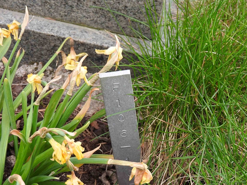 Gravnummer: BK F   106-107