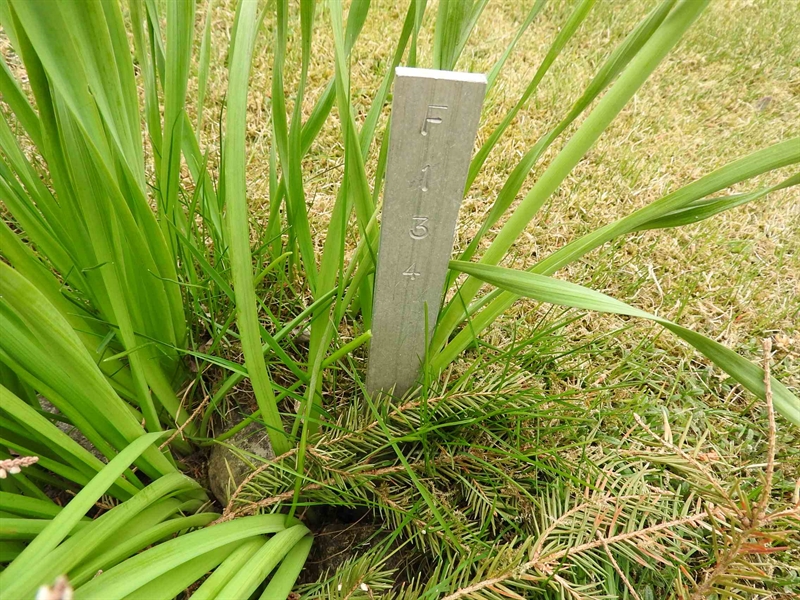 Gravnummer: BK F   133