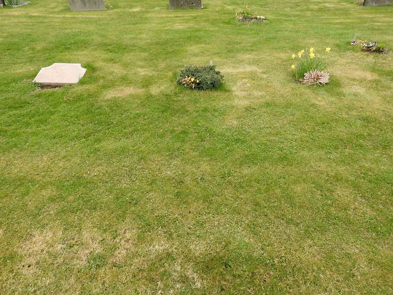 Gravnummer: BK F   134