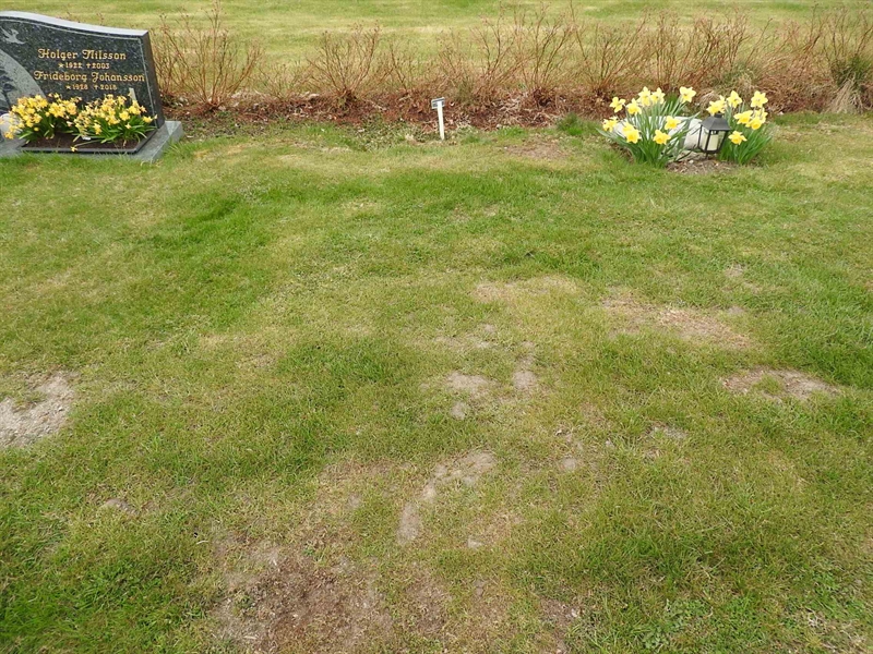 Gravnummer: BK F    15