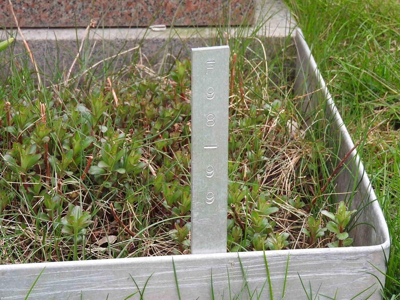 Gravnummer: BK F    98-99