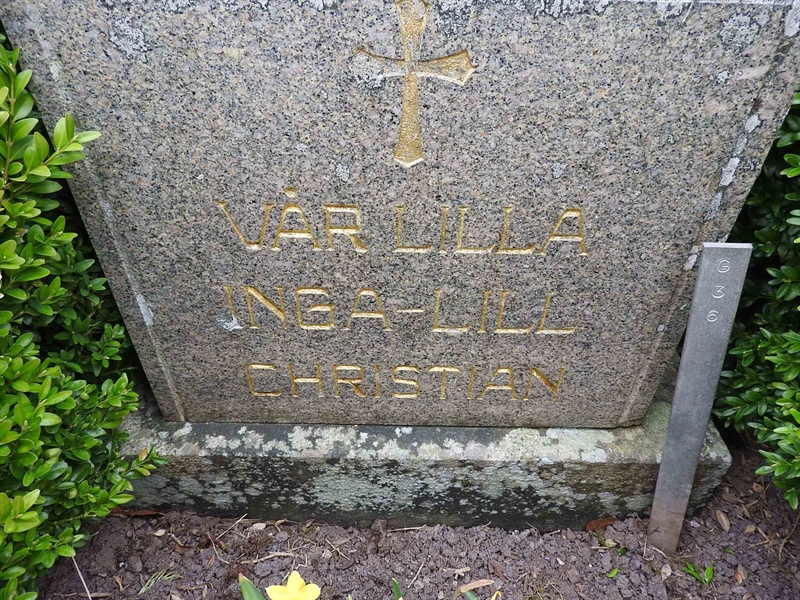 Gravnummer: BK G    36