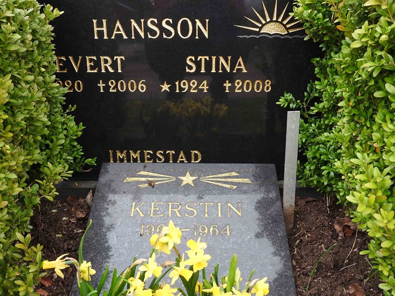 Gravnummer: BK G    41