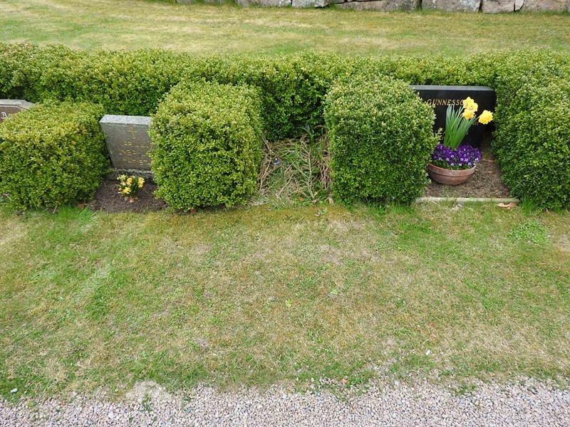 Gravnummer: BK G    37