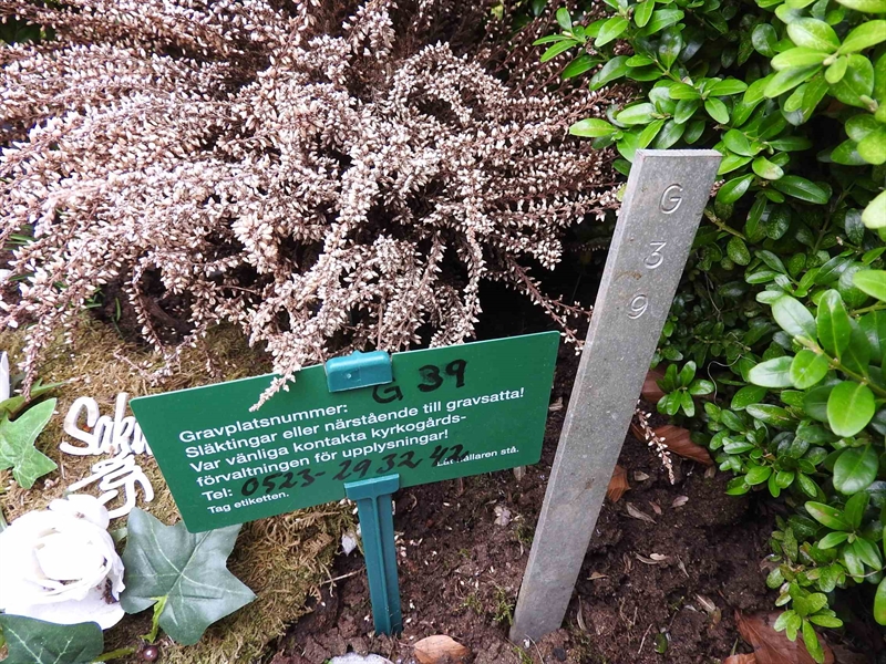 Gravnummer: BK G    39