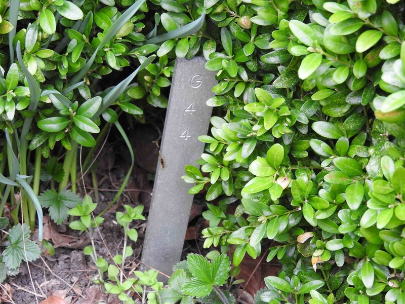 Gravnummer: BK G    44