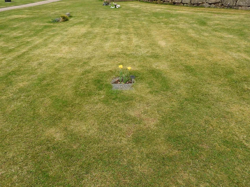 Gravnummer: BK G    69