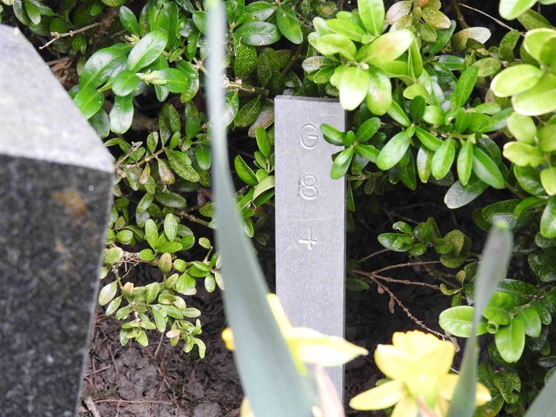 Gravnummer: BK G    84