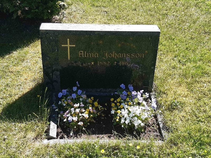 Grave number: JÄ 08   218