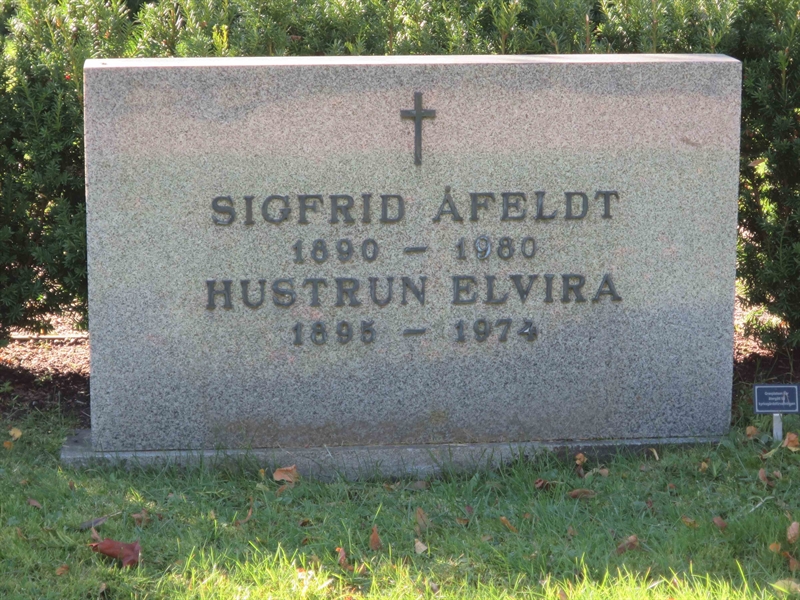 Grave number: HÖB 56    29