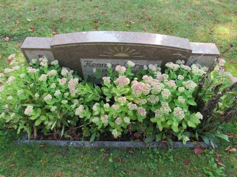 Grave number: 1 6    99-100