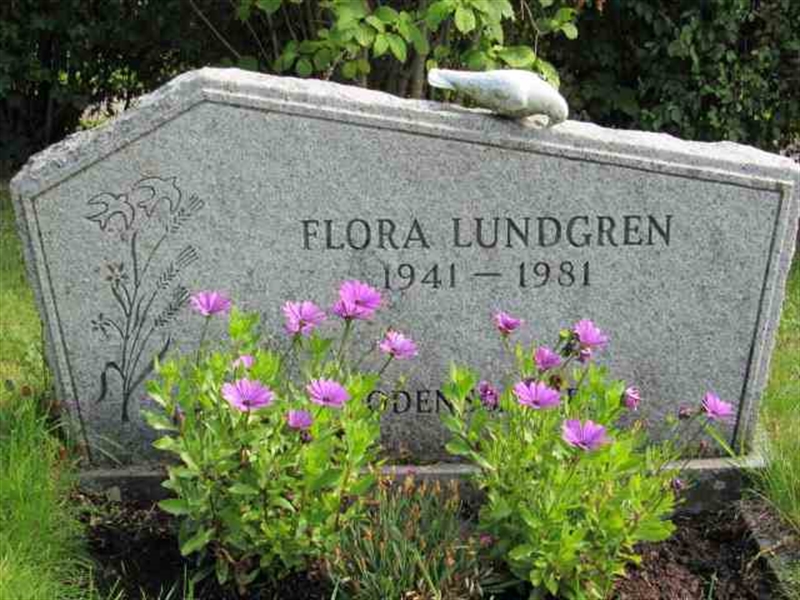 Grave number: 2 NO 14   540-541