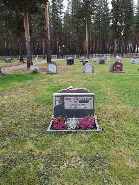 Hautatunnus: VLM 13     8-9