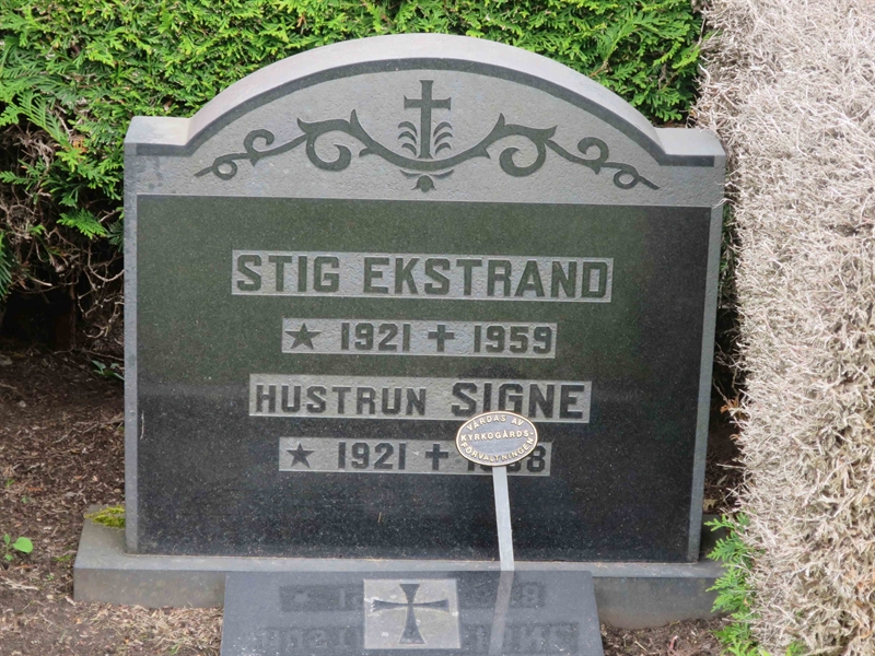 Grave number: HÖB 42    57
