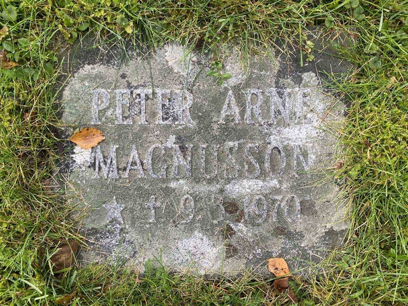 Grave number: 1 24     79