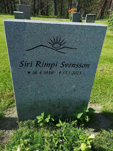 Hautatunnus: PK   163