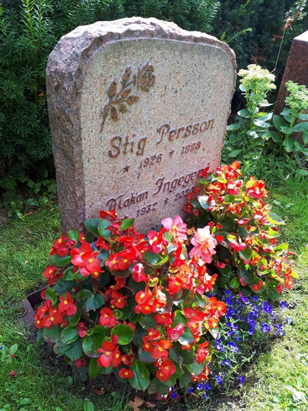 Gravnummer: GK U 4   246