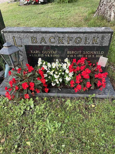 Gravnummer: N 4 3   372