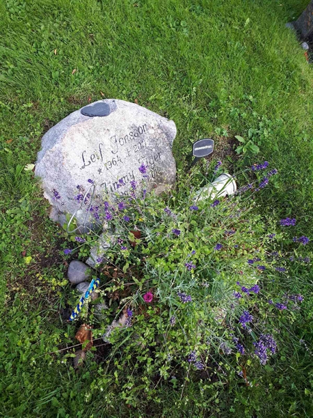 Hautatunnus: NK F D   296