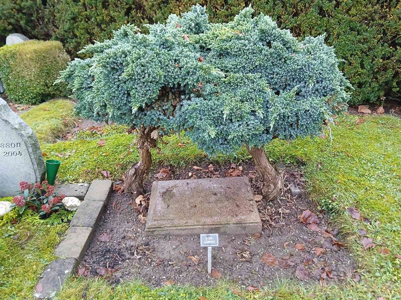 Grave number: FE K    30