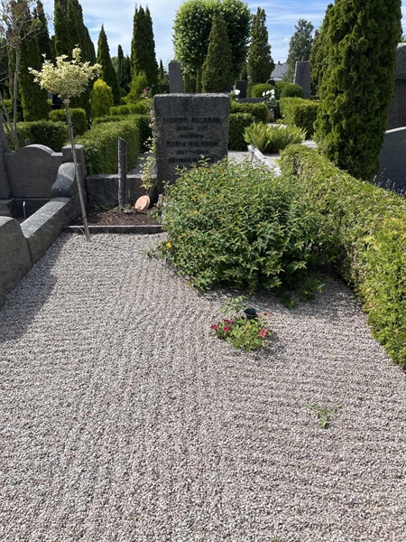 Grave number: NK IV    93