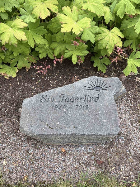 Grave number: G 10   216