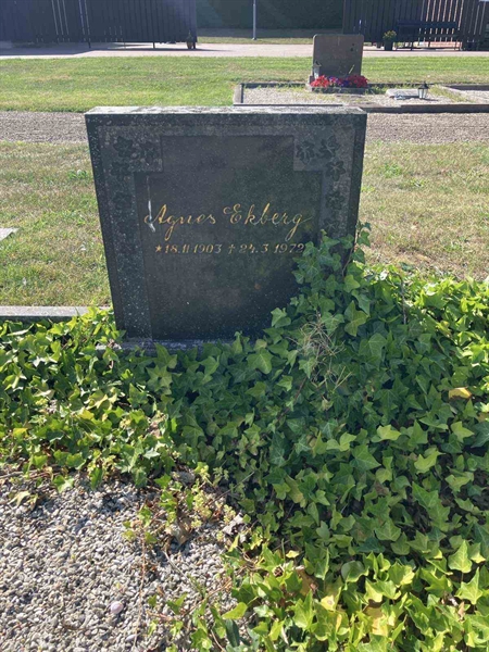 Hautatunnus: NÅ 24    74