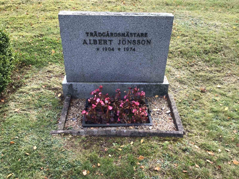 Grave number: 20 D    98-99