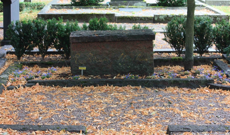 Grave number: Ö 20y    45, 46