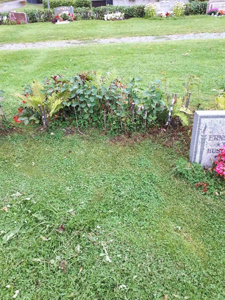 Gravnummer: NK F A    44