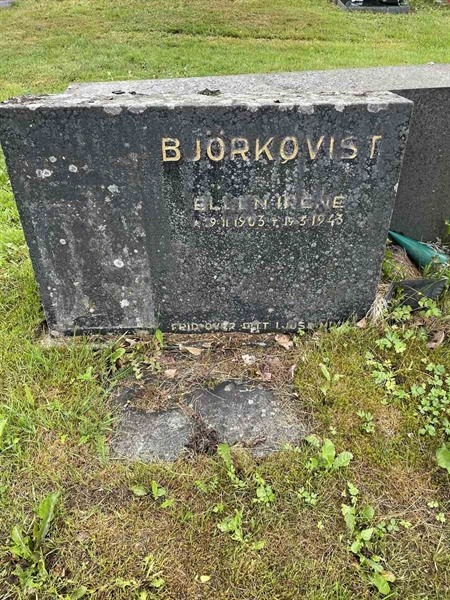 Gravnummer: N 4 3   383