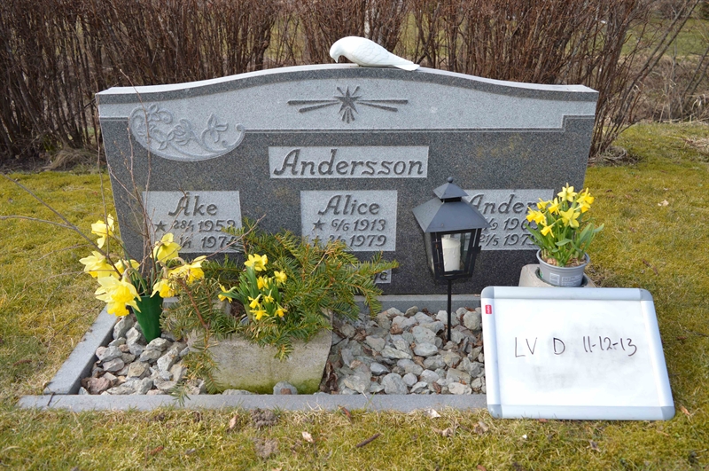 Grave number: LV D    11, 12, 13