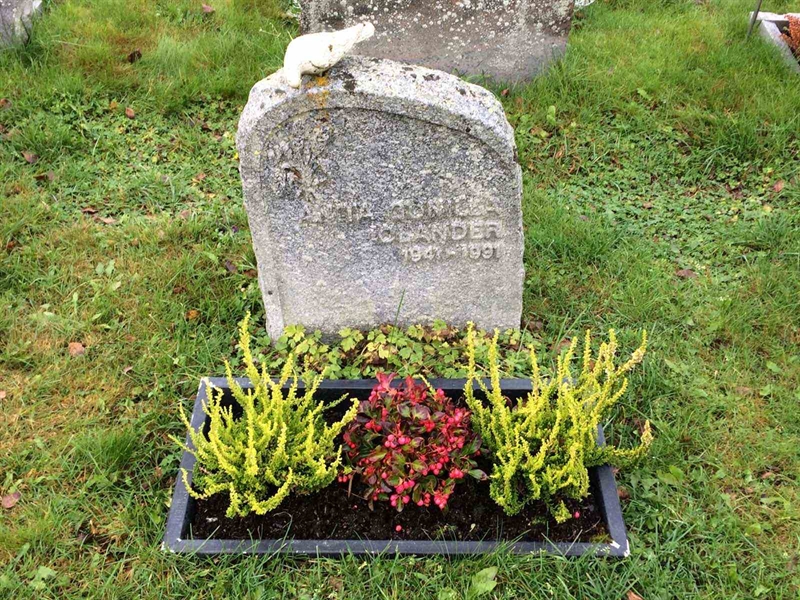 Grave number: 3 1704