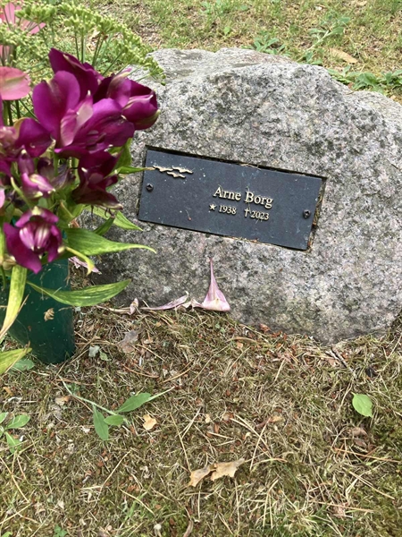 Grave number: RN AL    29