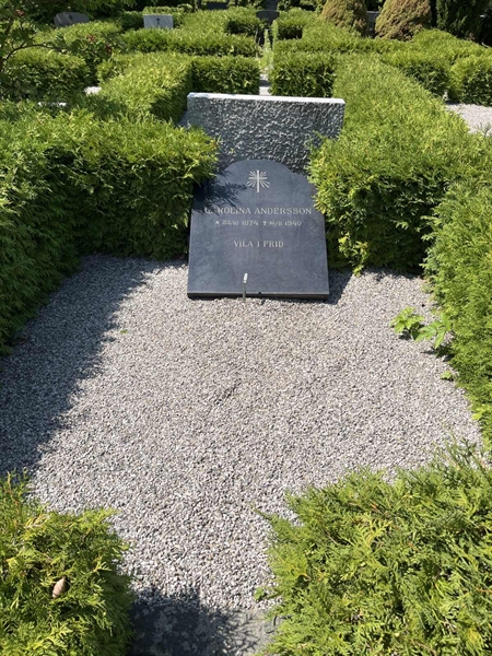 Grave number: NK VII    24