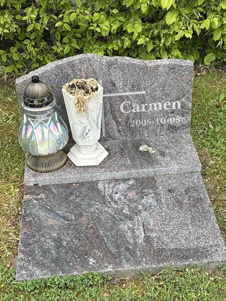 Grave number: SKF A   255